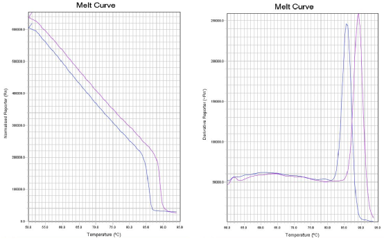 染料法熔解曲線