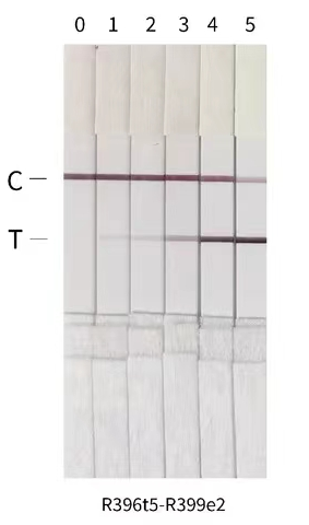 猴痘病毒A29L抗體膠體金檢測結果